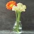thumbnail image 5 of 18X Color de Decoración Para El Hogar Real Flores Única Artificial Color: Cremoso, 5 of 5