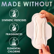 L. Ultra Thin Pads for Women, Organic Cotton Top Layer, Extra Long Overnight Absorbency, 20 Count