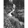 thumbnail image 2 of Stream Lined with Bitter Cress, Mountain Bluebells, Colorado, USA, Botanical Scenic Stretched Canvas Wall Art by Adam Jones Sold by Art.Com, 2 of 5