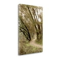 thumbnail image 2 of "Oak Tree - 49" By Alan Blaustein, Fine Art Giclee Print on Gallery Wrap Canvas, Ready to Hang, 2 of 2