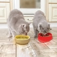 thumbnail image 4 of P.T. Supply Co. Red Small Strawberry Shaped Silicone Pet Bowl with Non-Slip Suction Base, 4 of 7