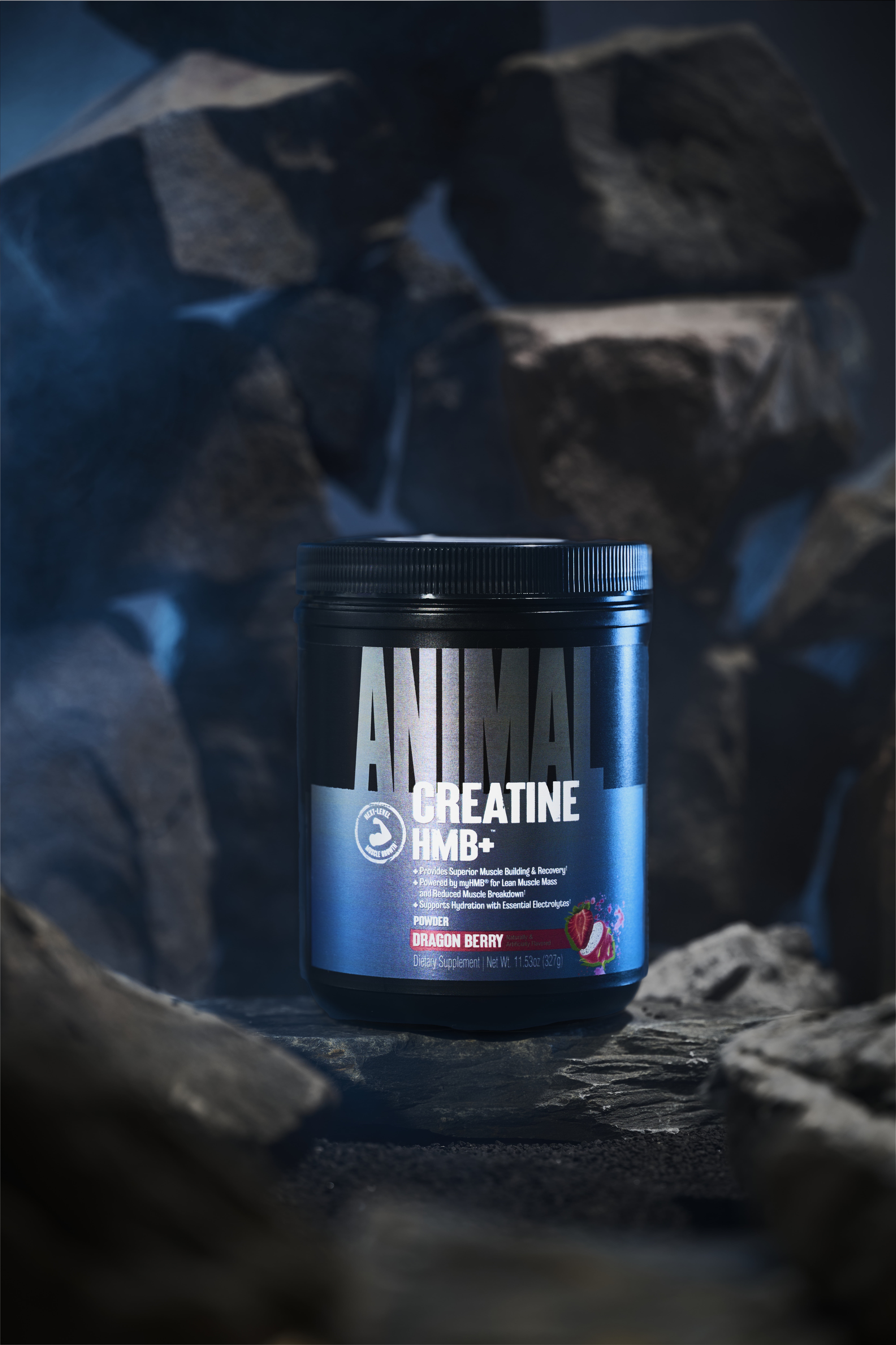 Animal Creatine HMB Powder – 5g Creatine + 3g myHMB with Electrolytes for Lean Muscle, Recovery & Daily Energy – Dragon Berry Flavor, 30 Servings
