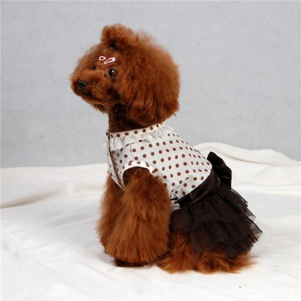 dog dress price