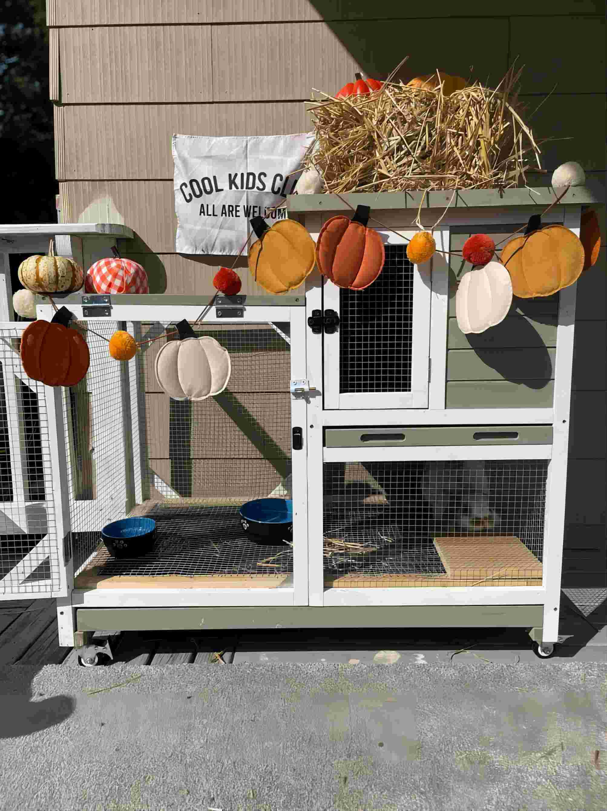 Aivituvin Outdoor Rabbit Hutch Indoor Bunny Cage-Mocca Without Wire Mesh