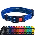 thumbnail image 1 of CollarDirect Reflective Dog Collar for a Small Medium Large Dog or Puppy with a Quick Release Buckle - Boy and Girl - Nylon Suitable for Swimming (10-13 Inch Blue), 1 of 5