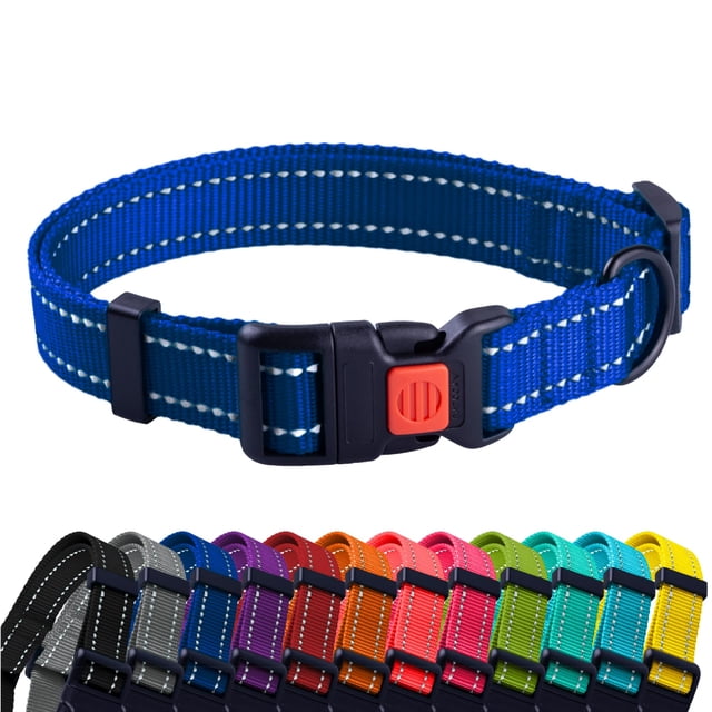 CollarDirect Reflective Dog Collar for a Small Medium Large Dog or Puppy with a Quick Release Buckle - Boy and Girl - Nylon Suitable for Swimming (10-13 Inch Blue)