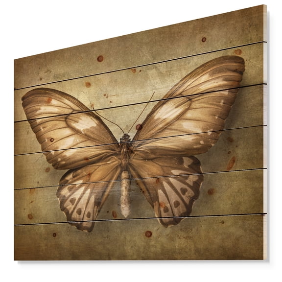 Designart 'Vintage Butterfly ' Vintage Print on Natural Pine Wood
