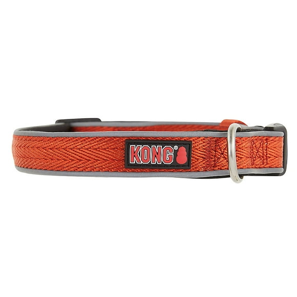 Kong Company Dog Collars & Leashes