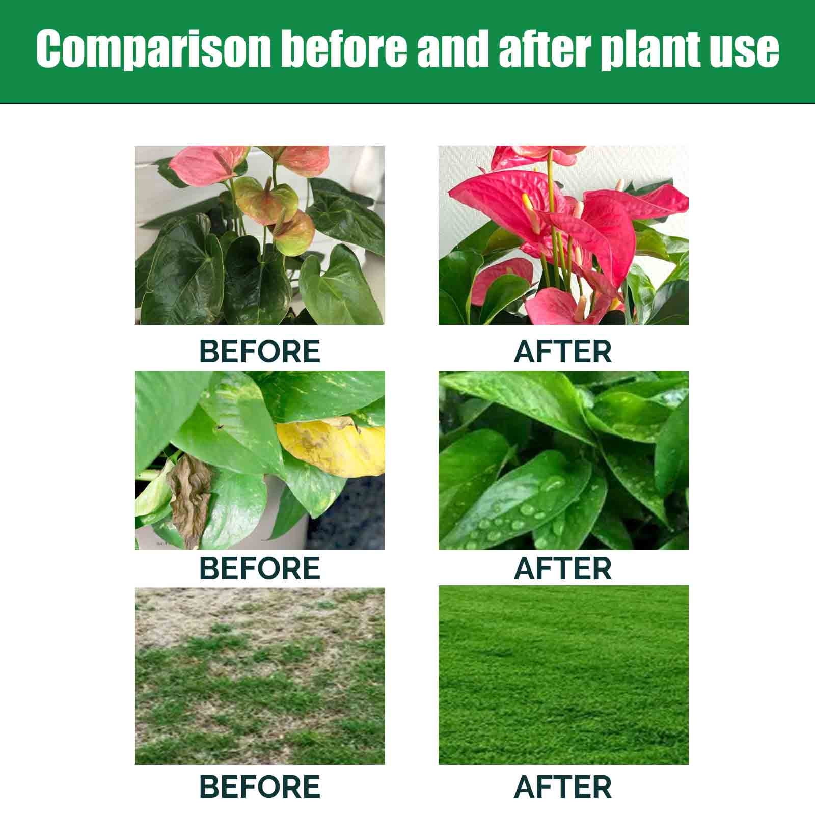 RuWeoMaa Organic Coco Coir Bricks for Plants 100% Natural Compressed Coir Bricks Coconut Fiber Plant Soil with Balance Coconut Fiber Substrate Soil for Planting, Gardening