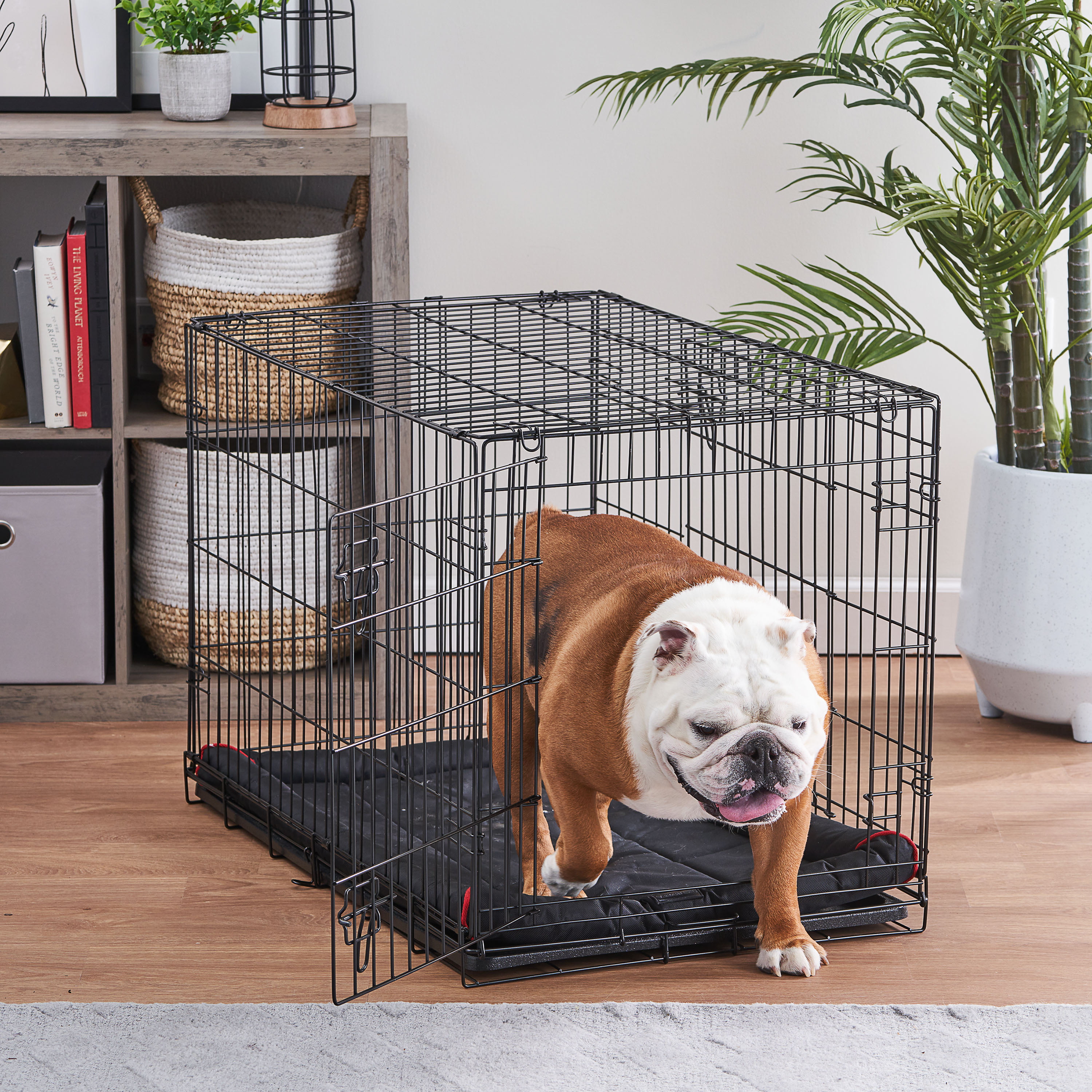 P-Tex Pet Crate Polypropylene Floor Protection Mat for Use on Hard Floors  and Carpets, Rectangular Dog Crate Mat, Black, 3 Sizes Available
