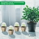 thumbnail image 4 of 20 macetas biodegradables con domo de humedad MACHAO 2,3 pulgadas, 4 of 5