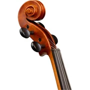 Musicale Series Violin Outfit