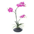 thumbnail image 1 of Vickerman 28" Contemporary Plastic Artificial Potted Orchid in Purple, 1 of 2