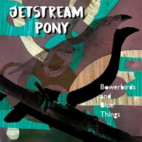 Jetstream Pony - Bowerbirds And Blue Things - Music & Performance - Vinyl