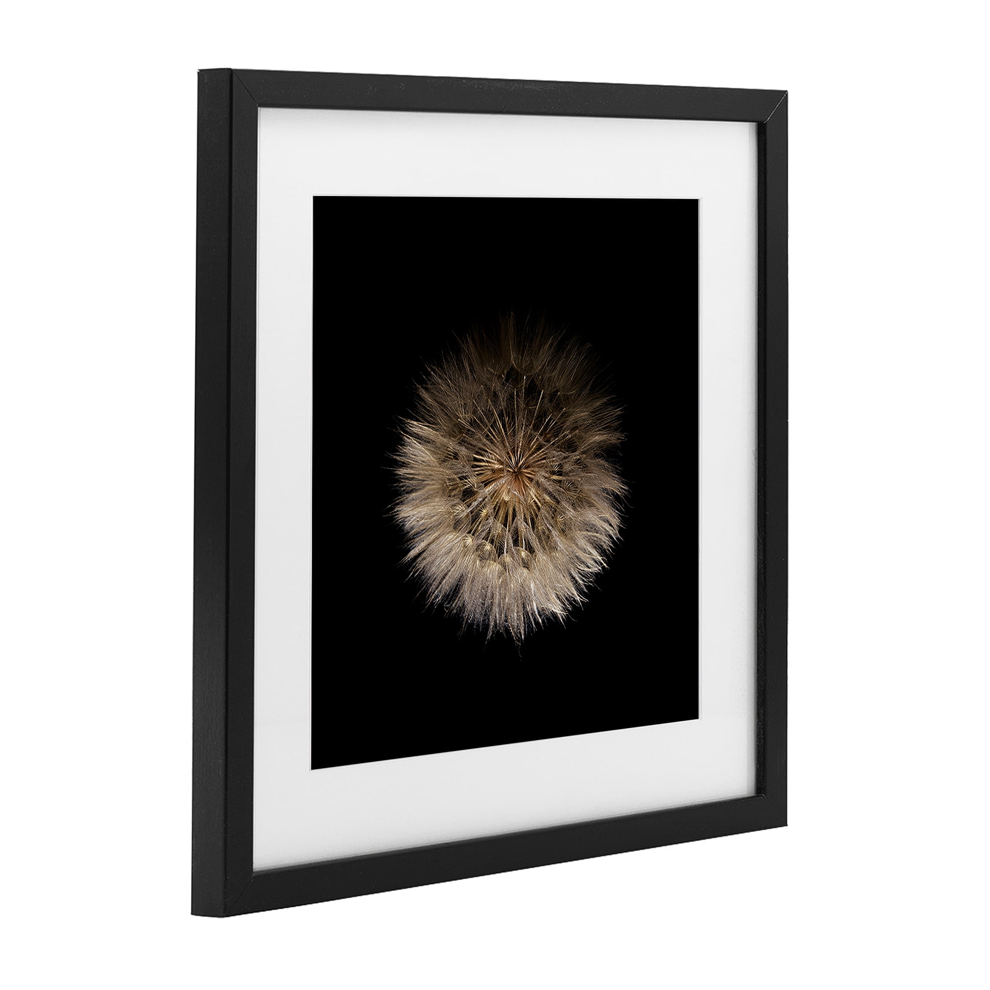 Stupell Industries Wispy Dandelion on Black Black Framed Print Under Glass, design by Beth Adoette