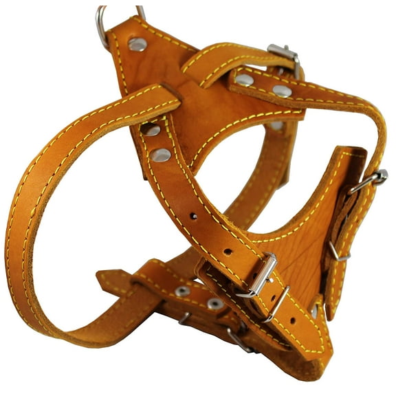 Real Leather Dog Harness, 24.5'-28' Chest size, 3/4' Wide, Brittany Spaniel