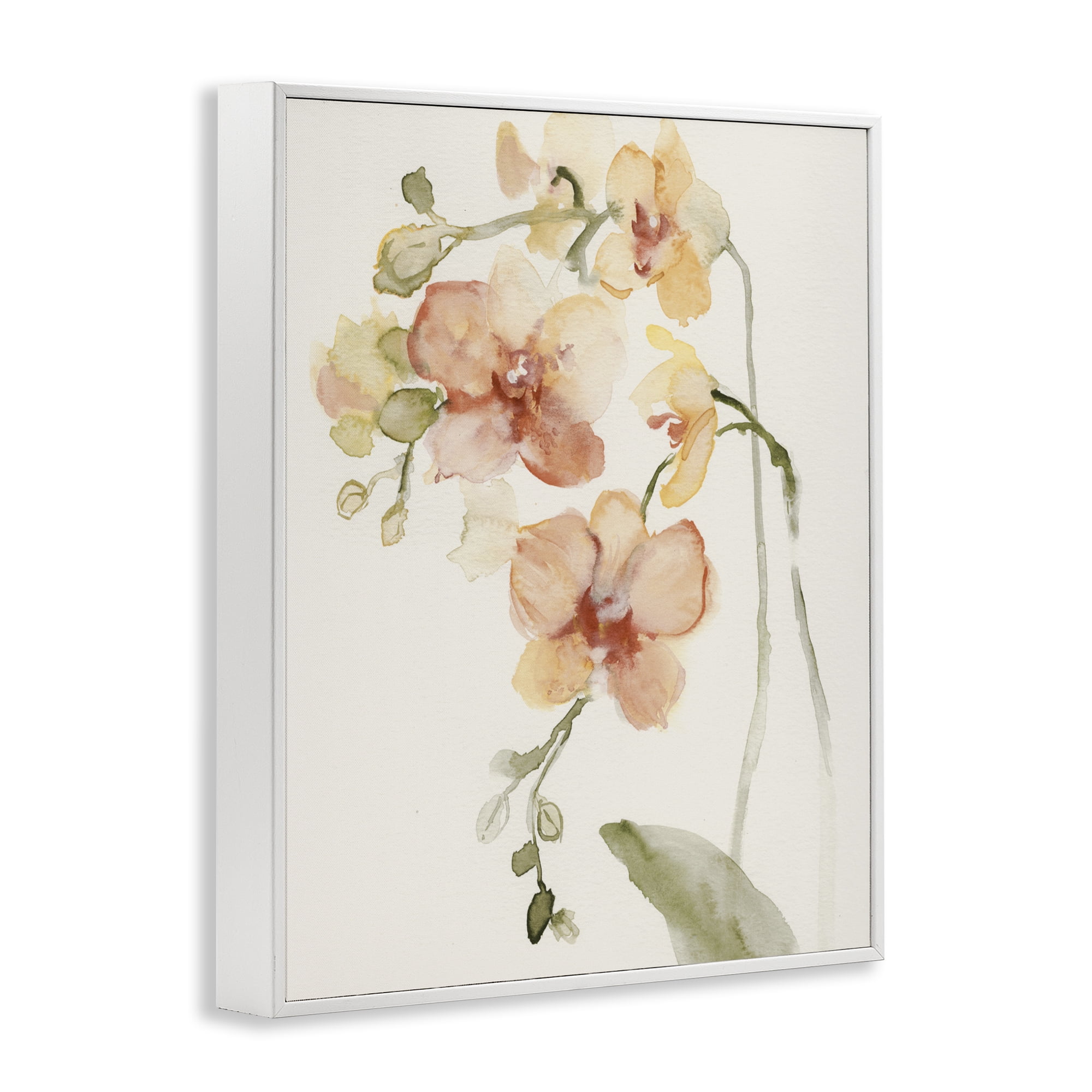 Stupell Industries Peach Orchid in Bloom White Framed Giclee Art, design by Victoria Barnes