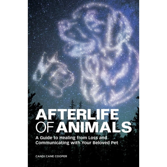 Afterlife of Animals : A Guide to Healing from Loss and Communicating with Your Beloved Pet (Paperback)