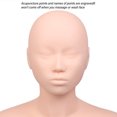 thumbnail image 4 of Tête de Mannequin Multifonctionnelle, Points d'Acupuncture de la Tête de Mannequin de Pratique Douce pour la Formation de Massage, 4 of 8