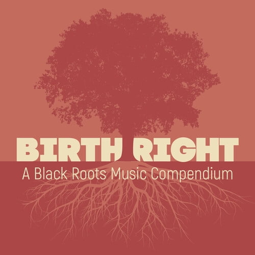 Various Artists - Birthright: A Black Roots Music Compendium (Various Artists) - Music & Performance - CD