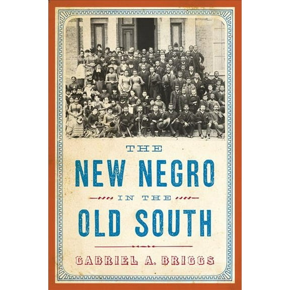 The American Literatures Initiative: The New Negro in the Old South (Paperback)