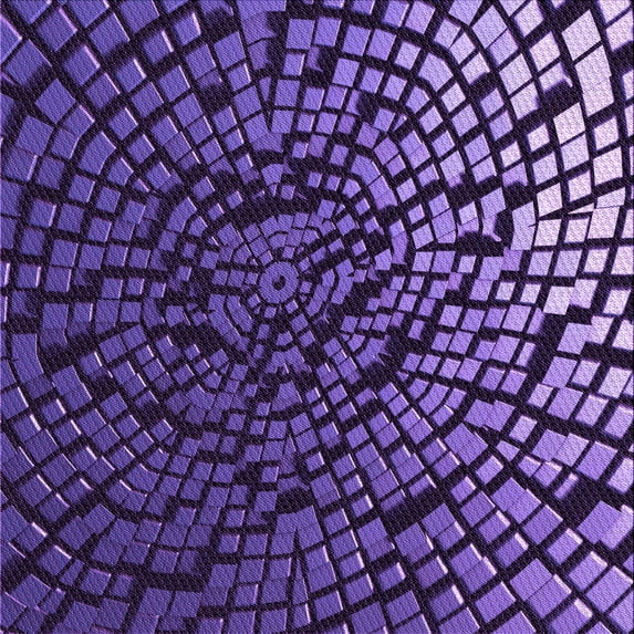 Ahgly Company Indoor Square Patterned Crocus Purple Area Rugs, 5' Square