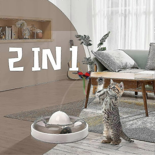 Juguetes para gatos de interior con pista de pelota automatizada electrónica interactiva