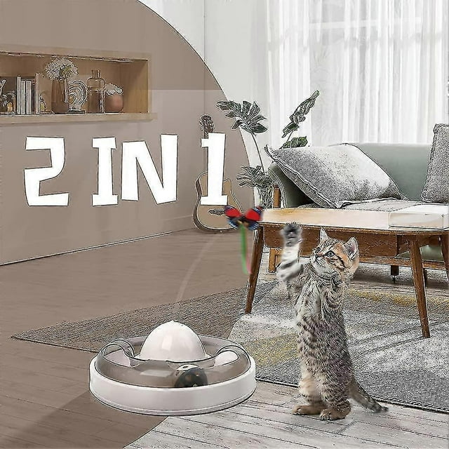Juguetes para gatos de interior con pista de pelota automatizada electrónica interactiva