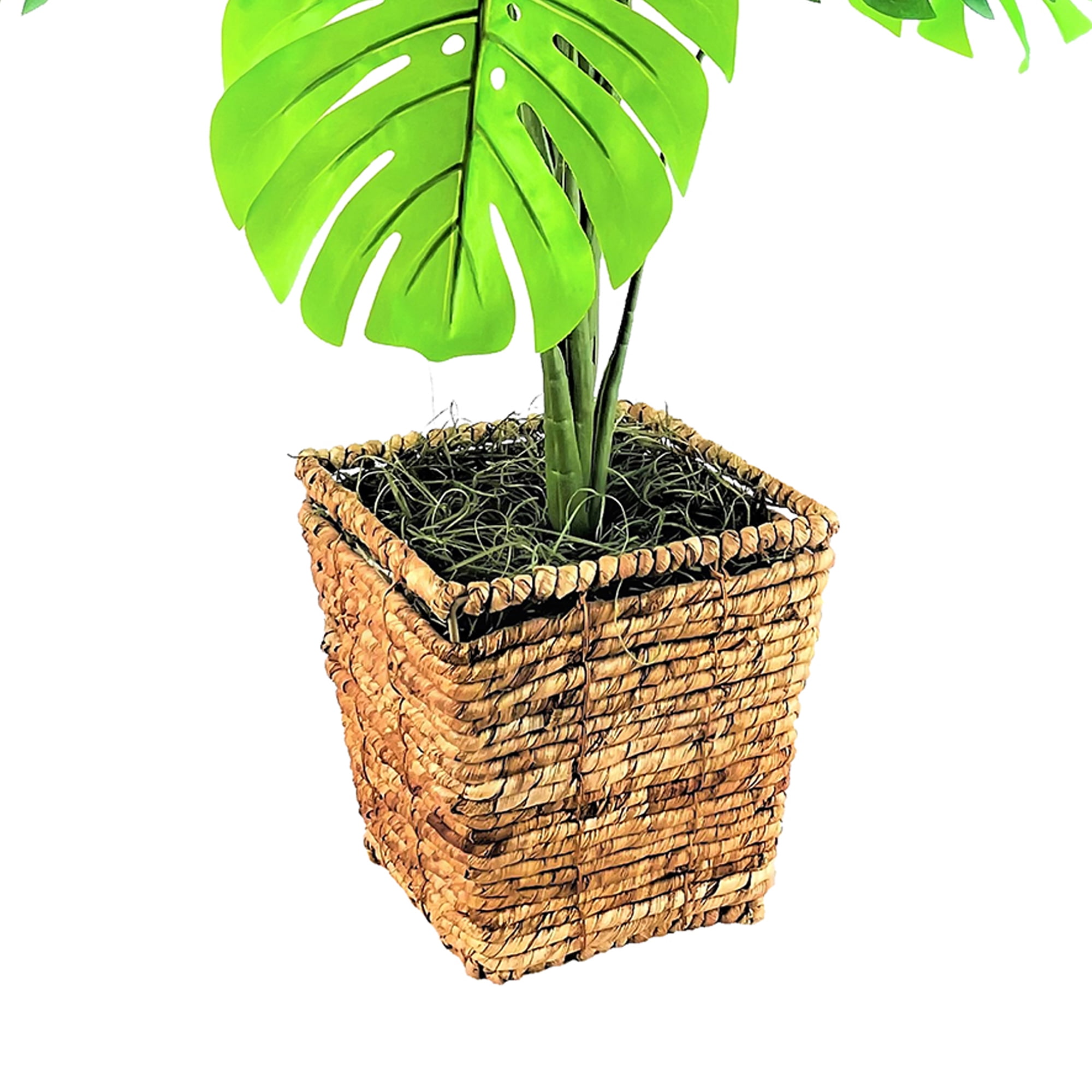 LCG Florals Artificial Plant, Monstera Plant, 3.33 ft, Square Basket