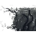 thumbnail image 2 of Randy Noble Fine Art 18x14 Black Ornate Wood Framed with Double Matting Museum Art Print Titled - Chaos, 2 of 4