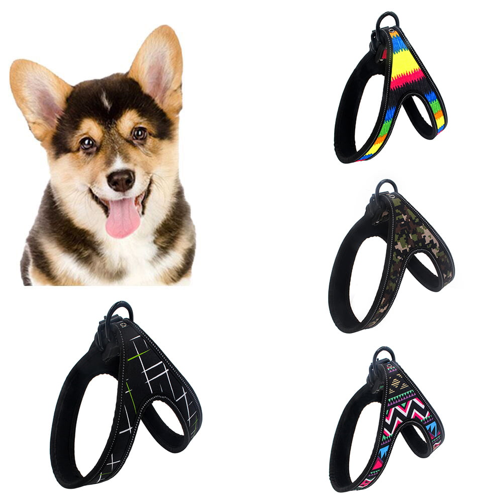 Hem & Boo Black Dog Fully Adjustable Harness Strong Durable Nylon Webbing Puppy 