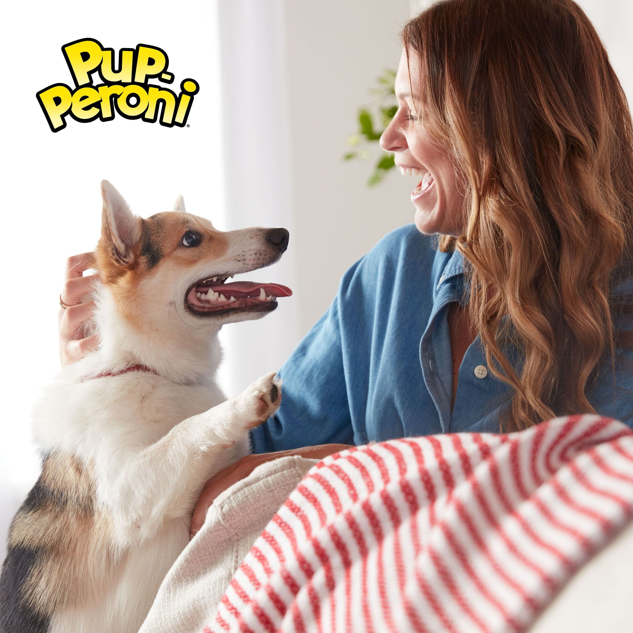 (2 pack) Pup Peroni Triple Steak Flavor Dog Treats, 22.5 Ounce Bag