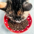 thumbnail image 4 of Comedero Para Gatos Whisker Fatigue Comederos Para Gatos Comederos Elevados Para Gatos Y Comederos De Cerámica Para Gatos Para Comida Y Agua., 4 of 6