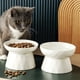 thumbnail image 5 of Cuenco para gatos, cuenco de comida, plato de comida lenta, cuenco de pie alto, cuenco de comida lenta, cuenco de agua para proteger la columna vertebral, 5 of 5