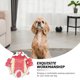 thumbnail image 5 of Disfraz de León para danza de perros, ropa festiva divertida de Año Nuevo, disfraz de perro encantador, 1 ud., 5 of 8
