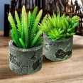 thumbnail image 5 of 2pcs simulation succulent bonsai creative home interior decoration artificial green plants - type:style1, 5 of 5