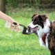 thumbnail image 5 of Dispensador de agua para mascotas Contenedores de alimentación Vasos portátiles para cachorros, gatos, conejos y otros animales pequeños, 5 of 5