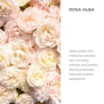 thumbnail image 2 of Agua de rosas Alteya Organics, blanca búlgara, 500 ml, 2 of 8