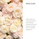 thumbnail image 2 of Agua de rosas Alteya Organics, blanca búlgara, 500 ml, 2 of 8