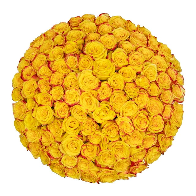 Member's Mark Ecuadorian Premium Roses, choose color variety and stem count