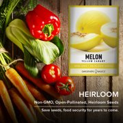 Yellow Canary Melon Seeds