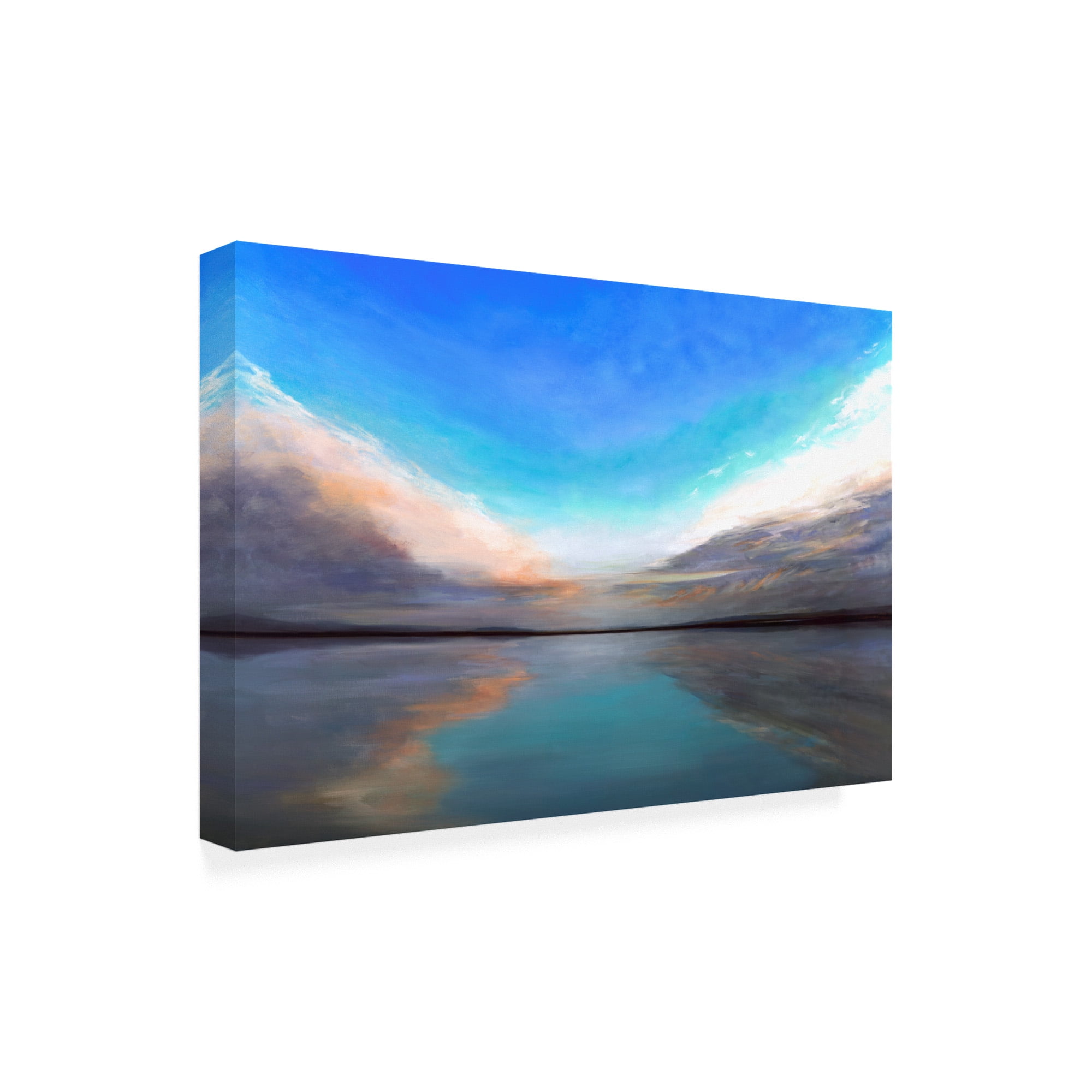 Trademark Fine Art 'Salt Flats III' Canvas Art by Sheila Finch