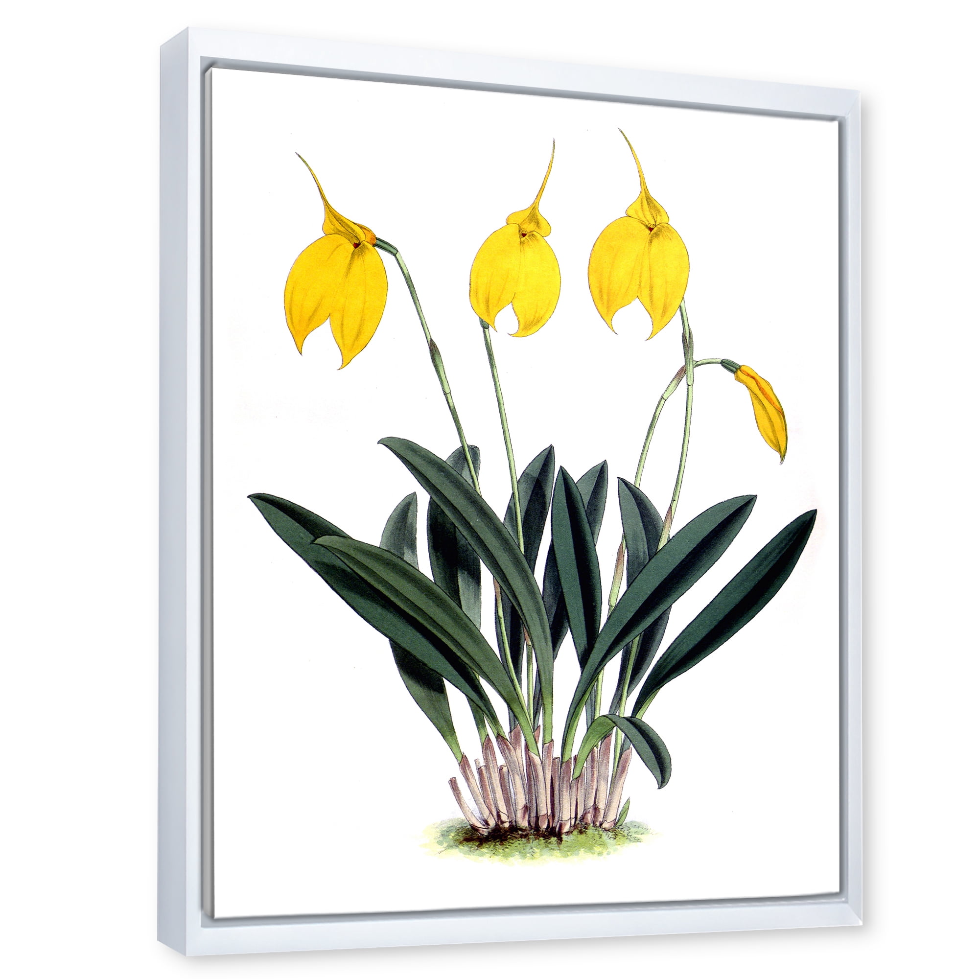 Designart 'Orchid Retro Flowers' Farmhouse Framed Canvas Wall Art Print