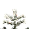 thumbnail image 2 of Vickerman A806368 6.5  x 62   Flocked Alaskan Tree 600Mu-G50, 2 of 3