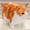 05, variant on Simulated 3D Super Soft Fat Cat Stuffed Animal,Lifelike Cat Plush Pet Toy Pillow Home Decor Gift