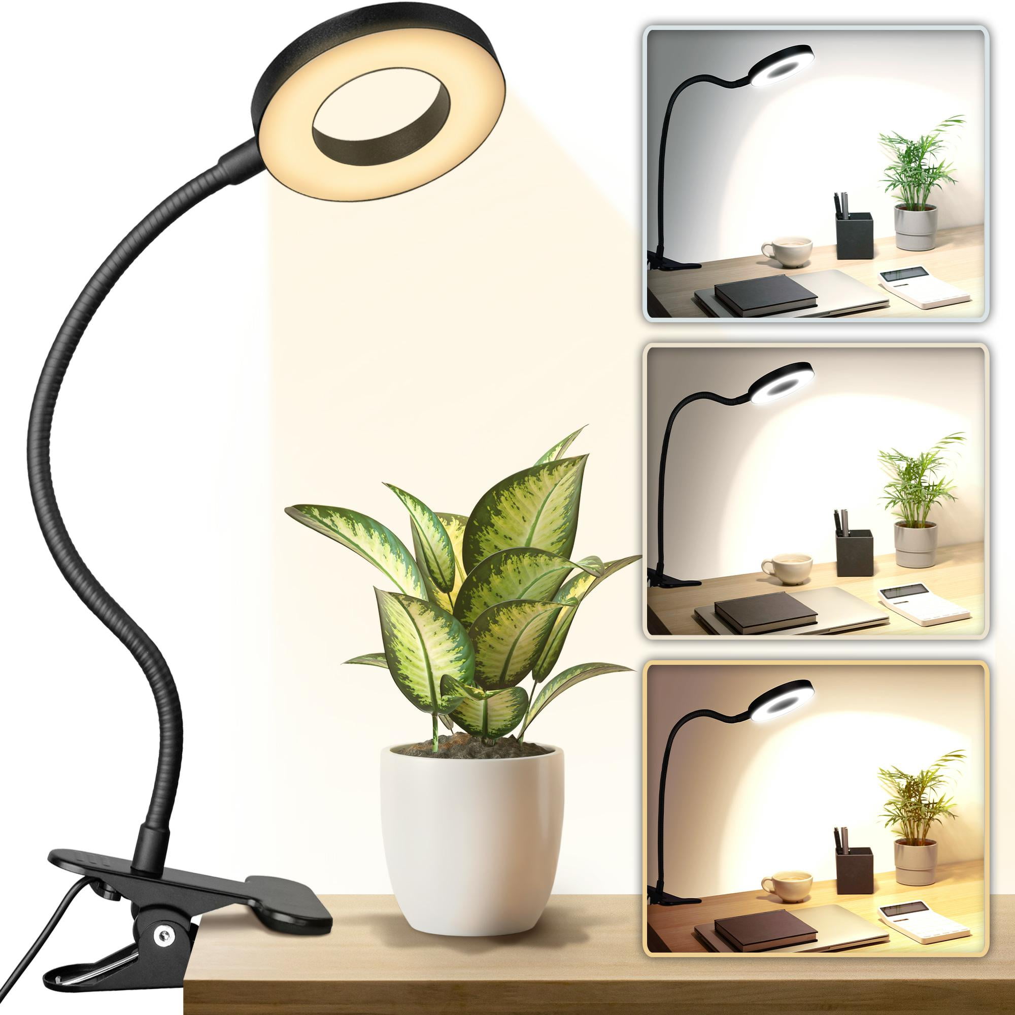 Mata1USA Desk Lamp, Clamp ClipOn Lamp, Desk Light, Home Office LED