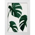 thumbnail image 1 of Artographie Studio 23x32 White Modern Wood Framed Museum Art Print Titled - Monstera Nautral 39, 1 of 4