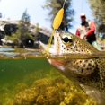 thumbnail image 4 of 2 uds. Señuelo Artificial en forma de rana, señuelos con barba inferior, cebos con ganchos, accesorios para aparejos de pesca 4 #, 4 of 9