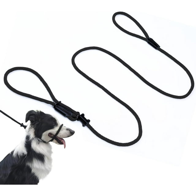 Multifunctional Figure 8 Padded Head Halter Walking Training Leather Stopper Slip Lead Dog Rope Leash Muzzle (Black)