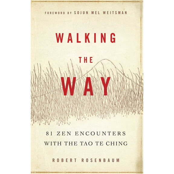 Walking the Way : 81 Zen Encounters with the Tao Te Ching (Paperback)